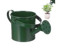 para flores y jardinería | Regadera galvanizada para plantas para césped, patio, porche, jardineros, familiares, amigos, vecinos, niños y ancianos