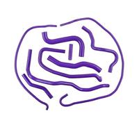 Para Ford Para Fiesta Mk6 ST 150 Facelift 2006 2007 2008 2,0 Duratec ST Motor Juego Mangueras Refrigerante Silicona Coche Intercooler Turbo(Purple)