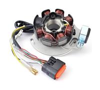 Para Gas Gas Para EC125 2005-2006 EC200 EC250 EC300 2005-2011 EC 125 200 250 300 EC250 EC300 Para RACING E-START ME250534005 Bobina de estator Estator