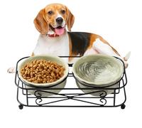 para Gatos - Bebedero Dispensador De Agua con Base | Cuenco de Alimentación de Cerámica | Suministros para Mascotas para Alimentación de Viaje al Aire Libre Perros Pequeños