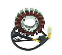 Para GN250 1982-2001 TU250 1997-2016 GN TU 250 Magneto 250cc generador de estator de bobina de encendido 32101-38302 3210138302 Estator