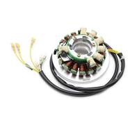 para Husqvarna TE350 TE510 TE610 TC500 TX510 TC610 WXC350 WXE350 WMX610 WXE510 WXE610 WXC610 Bobina De Estator Magnético Motocicleta