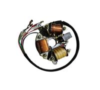 Para JIALING 50cc Para CJ Para JH 50 CJ50 JH50 Accesorios De Repuesto De Bobina De Estator Magnético De Motocicleta Eléctrica 1x Bobina Estator