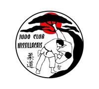 Para Jiu-Jitsu Arte Pegatinas De Coches Divertidas Cobertura De Caravana Diy Arañazos Impermeable De Carrocería