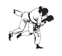 Para Jiu-Jitsu Arte Pegatinas De Coches Divertidas Cobertura De Caravana Diy Arañazos Impermeable De Carrocería