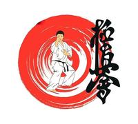 Para Jiu-Jitsu Arte Pegatinas De Coches Divertidas Cobertura De Caravana Diy Arañazos Impermeable De Carrocería