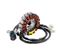 Para JUMBO 300 301 302 RAZZER 300 JUNTA RECTIFICADORA DEL REGULADOR DEL GENERADOR DEL ESTATOR Estator