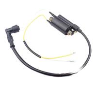 para Kawasaki 300 KLF300 1988-2004 Bobina De Encendido Motocicleta 21121-1264 21160-1089