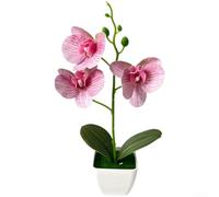 para mini orquídea en maceta para escritorio de oficina y dormitorio para | Pétalos realistas, texturas de venas, hojas brillantes, maceta cuadrada blanca, para una actualización instantánea de la