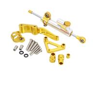 Para Monster 696 795 796 2008 2009 2010 2011 2012 -UP Motocicleta Amortiguador De Dirección Estabilizador Soporte De Montaje Kit De Apoyo Amortiguadores Dirección(Type r)