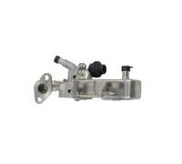 Para Nissan Navara D40 NP300 Para Pathfinder Cabstar 2.5 DCI 700452 14735-5X00A 14735-5X00B 147355X00B 147355X00A Enfriador EGR EGR Válvula