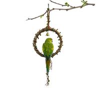 para pájaros,Colgante Cacatúa NINFA - Juguetes para Pájaros de Jaula | Apto para Enriquecimiento Ambiental en la Jaula, Masticación, Ninfas, Conure, Inseparables, Juego, Descanso y Percha
