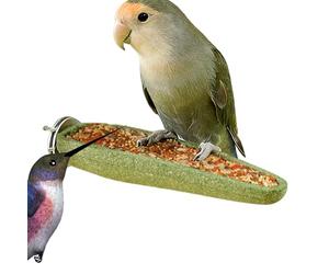 para pájaros para loros, de perca para pájaros de pie, para el hogar, apartamento, patio de jaula, jardín, patio, garaje, granero