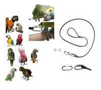 Para pechera de loros con cordón elástico / 2 anillas de 14 mm pata, para enganchar la correa de nuestro pechera con mosquetón fuerte de 4 mm a tornillo