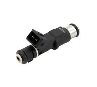 Para Peugeot 206 307 406 407 607 806 807 Para Expert 2.0/16V 01F003A 1984E2 1984.E2 348004 75116328 Boquilla Inyector Combustible HQGQCEZEK