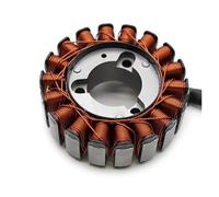 Para Peugeot para Geopolis 250 2006-2011 generador de motocicleta bobina de estator Magneto Estator
