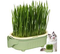 para plantar gatos: jardinera de interior autoirrigante, monitor de raíces transparente, material ligero y ecológico, diseño antifugas | Novedad snack para mascotas para f