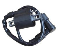 para PW50 PW80 Big Wheel Champ 50 TTR125 TTR225 TW200 Dirt Bike ATV Quad 4 Ruedas Motocicleta Cdi Caja Bobinas Encendedor Bobina De Encendido
