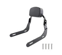 Para R18 Classic R18 B 100 Años 2020 2021 2022 2023+ Cojín De Respaldo Para Asiento De Pasajero De Motocicleta(A1 For R18)