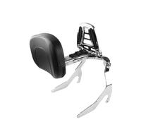 Para R18 R18B 2020 2021 2022 2023 R18 B Motocicleta Multiusos Conductor Pasajero Respaldo Plegable Parte Trasera Trasera Parte Trasera Respaldo trasero motocicleta(R18B-Chrome)