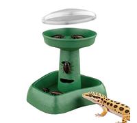 para Reptiles antievasión para terrario y jaula | Recipiente alimenticio para reptil en terrario, recinto, tanque, jaula, hábitat y tienda de animales de compañía