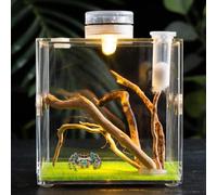 para reptiles para reptiles, terrario de crecimiento de reptiles, terrario transparente, ligero y pequeño criador de animales para tortugas, escarabajos, caracoles y lagartos
