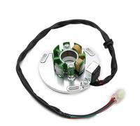 Para TC125 TC250 HQV Motocicleta Generador Magneto Estator Bobina 54839004000 Bobina Estator