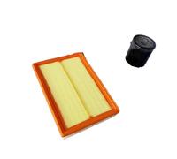 Para U5 Para PLUS Para D50 Accesorios Para Coche Filtro De Aire Cabina Y Aceite Filtro Aceite Coche(Air and oil)