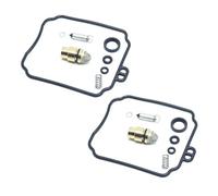 para Yamaha XV250 V-Star 1998-2018 Virago 1995-2007 Route 66 1988-1990 Kit De Reparación Carburador Junta Cámara Asiento Válvula Flotador 2 Piezas