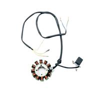 Para Zongshen 250cc CG250 CG200 Repuestos 12-18 Bobina Polo Magneto Estator Motor BUGGY Go Karting ATV QUAD 1x Bobina Estator(18 coil 250W 93mm)