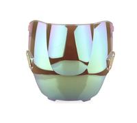 Parabrisas Modificado para CBR600 F3 1995-1998 Parabrisas De Doble Burbuja. Accesorios para Motocicleta Deflector De Carenado Parabrisas para Motocicleta(White Iridium)