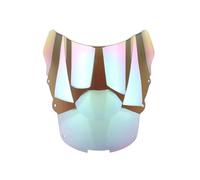 Parabrisas Motocicleta Parabrisas Motocicleta Deflector Protector para CBR1100XX CBR 1100XX CBR 1100 XX 1996-2007(Iridio Blanco)