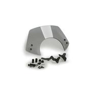 Puig Disco para patines deportivos GTS 125/300 ligeramente tintado