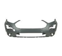 BLIC 5510-00-2594901P Parachoques