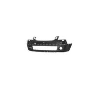 Parachoques delantero Inferior para Citroen c2 De 2003 Negro OEM 7401Z0
