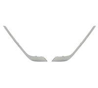 Parachoques Listón Delante Izquierda Derecha Para: RENAULT TALISMAN 06.15-12.19