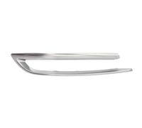 Parachoques - moldura decorativa/protectora BLIC 5513-00-00679721P izquierda