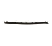 Parachoques - moldura decorativa/protectora BLIC 6502-07-0064911P