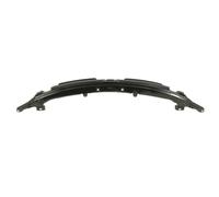 BLIC 5502-00-5054942P Soporte, parachoques