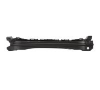 Parachoques - soporte BLIC 5502-00-9023941P