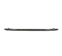 BLIC 5502-00-9549941PP Soporte, parachoques