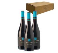 Parada de Atauta - Ideal para Maridar con Carne y Comida Mediterránea - Pack 3 Botellas 75cl