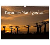 Paradies Madagaskar (Wandkalender 2026 DIN A3 quer), CALVENDO Monatskalender: Alles ist gut, wie es aus den Händen der Natur kommt.