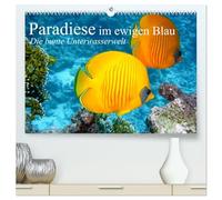Paradiese im ewigen Blau. Die bunte Unterwasserwelt (hochwertiger Premium Wandkalender 2026 DIN A2 quer), Kunstdruck in Hochglanz: Das bunte Treiben der schönen Lebewesen unter Wasser
