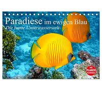 Paradiese im ewigen Blau. Die bunte Unterwasserwelt (Tischkalender 2026 DIN A5 quer), CALVENDO Monatskalender: Das bunte Treiben der schönen Lebewesen unter Wasser