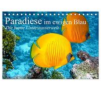 Paradiese im ewigen Blau. Die bunte Unterwasserwelt (Tischkalender 2026 DIN A5 quer), CALVENDO Monatskalender: Das bunte Treiben der schönen Lebewesen unter Wasser