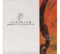 Paradigm - Paradigm Ambient Hits Collection - A Tribute to the Hits of Amy Grant (UK Import)