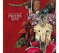 Paradise Lost - Draconian Times (Limited Edition) (Silver Coloured) (2 LP)