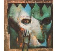Paradise Lost - Shades of God [Vinilo]