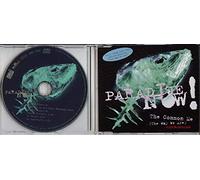 Paradise Now - The Common Me